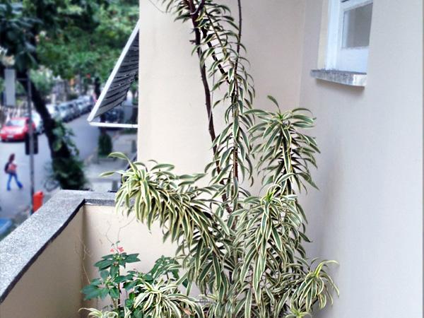 Luiz Leblon Guest House Rio de Janeiro Exterior foto